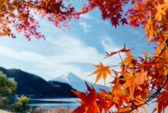 河口湖【富士山と紅葉】⑦20191117