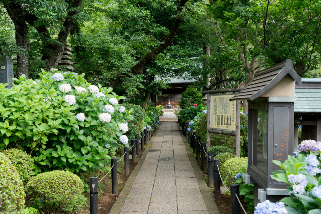 長尾山妙楽寺【参道の眺め】20210624