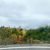 紅葉のアルプス巡り【弥陀ヶ原付近の紅葉】20221007