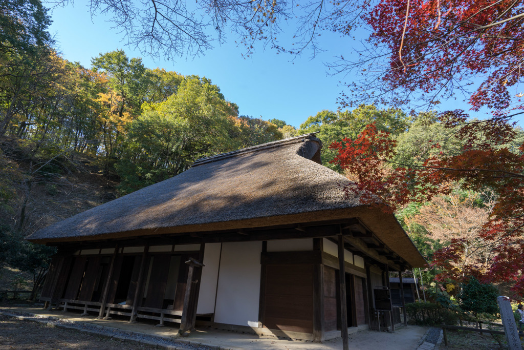 薬師池公園【旧荻野家住宅の紅葉】③20181123