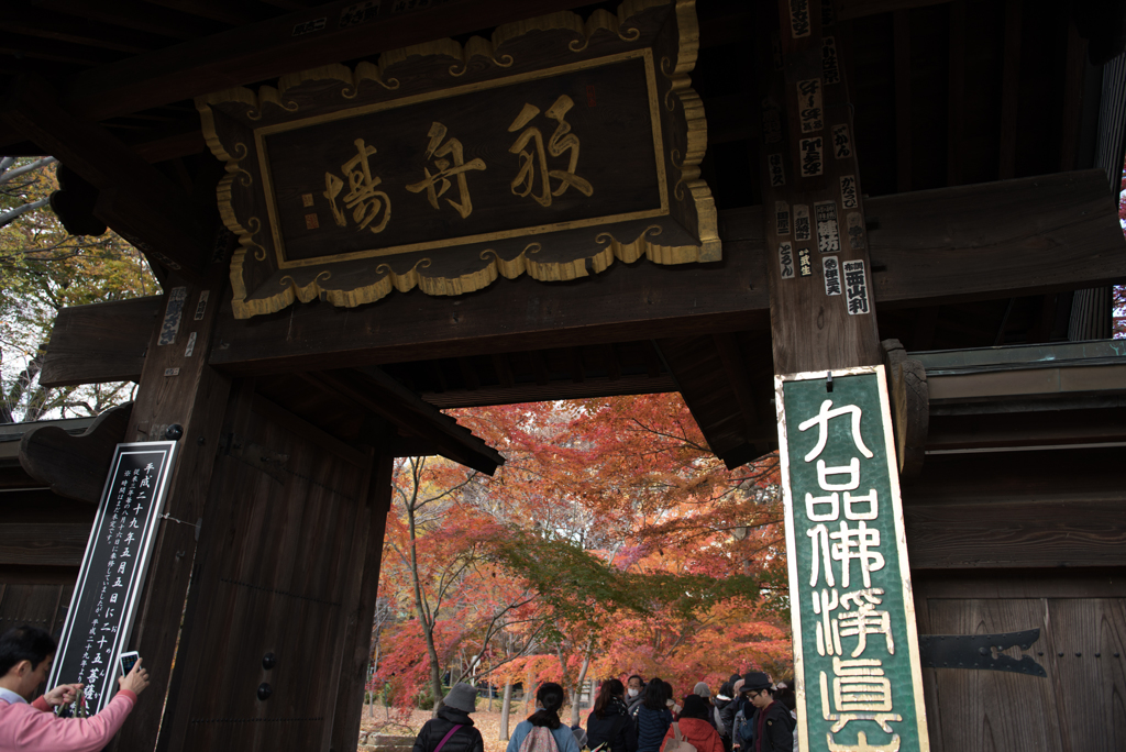 【九品仏浄真寺の紅葉】①20161203