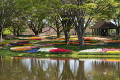 昭和記念公園【渓流広場の景色】⑥20180408