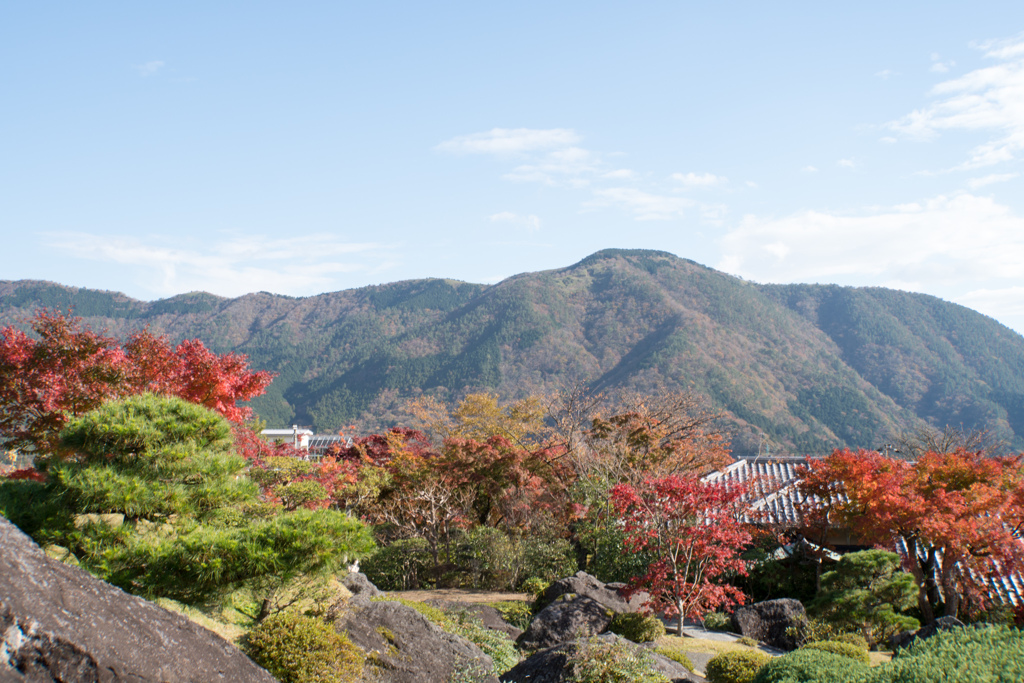 箱根美術館【神仙郷】②20211114