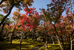 【箱根美術館_庭園の様子】②20161113