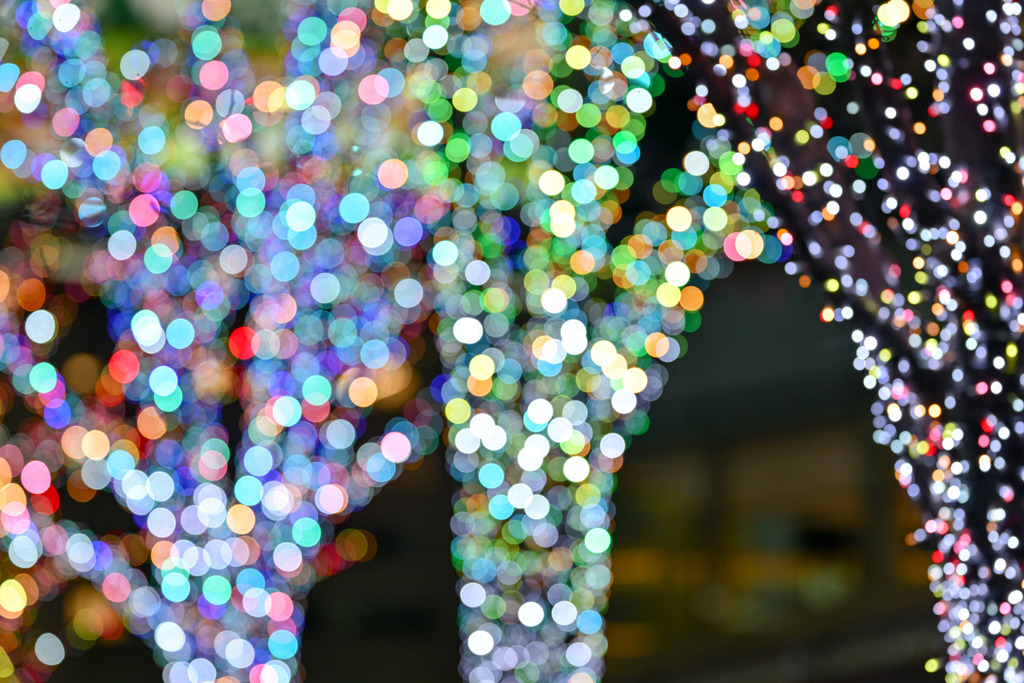 都内夜景巡り【六本木ヒルズ：イルミネーション】⑦20251216