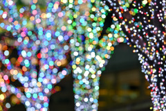 都内夜景巡り【六本木ヒルズ：イルミネーション】⑦20251216