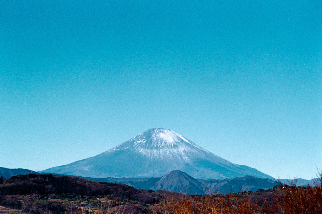 吾妻山公園【富士山の眺め】20210110