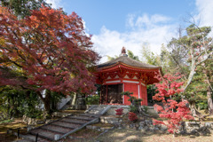 東福寺【愛染堂の眺め】20191203