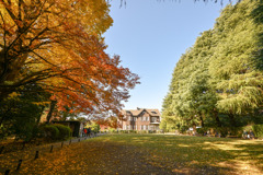 都内紅葉巡り【旧古河庭園：洋館と紅葉】①20251128
