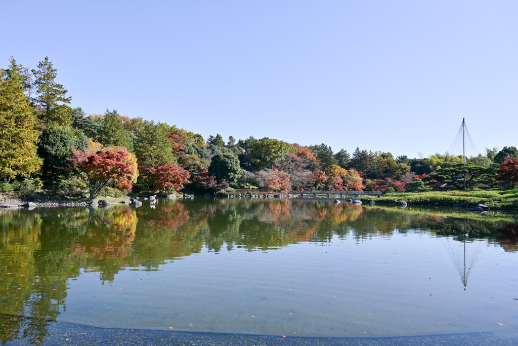 昭和記念公園【日本庭園の紅葉：池周辺の眺め】⑤20251117
