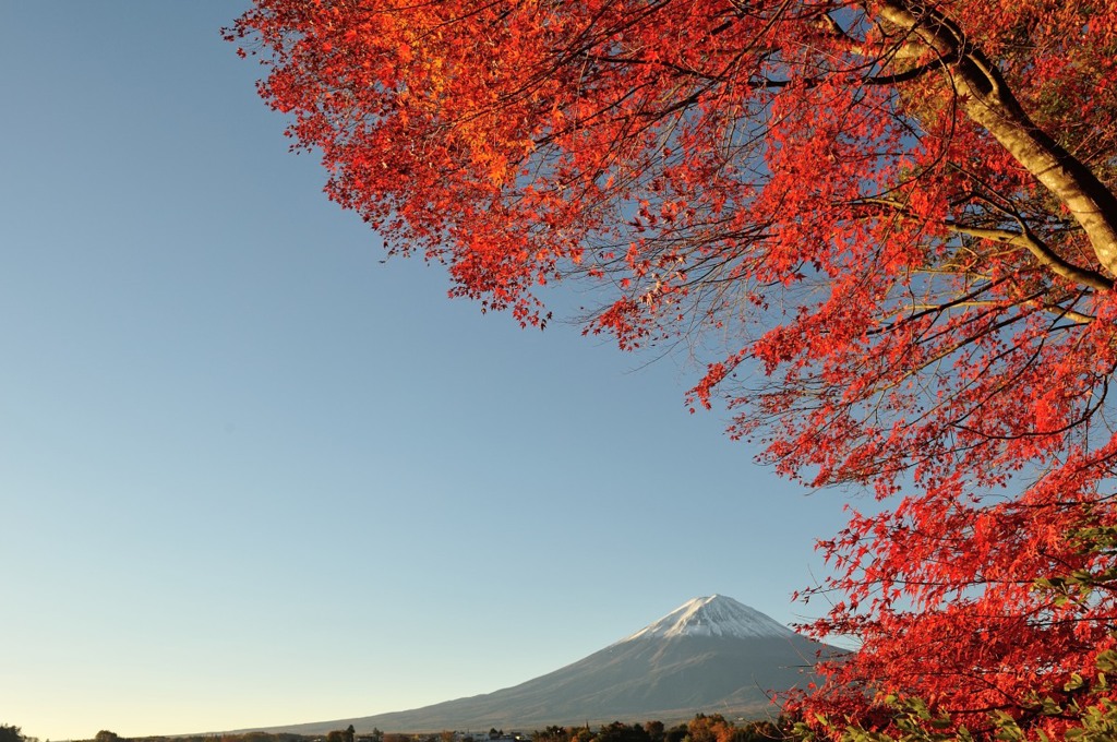 【富士山と紅葉】③20131113