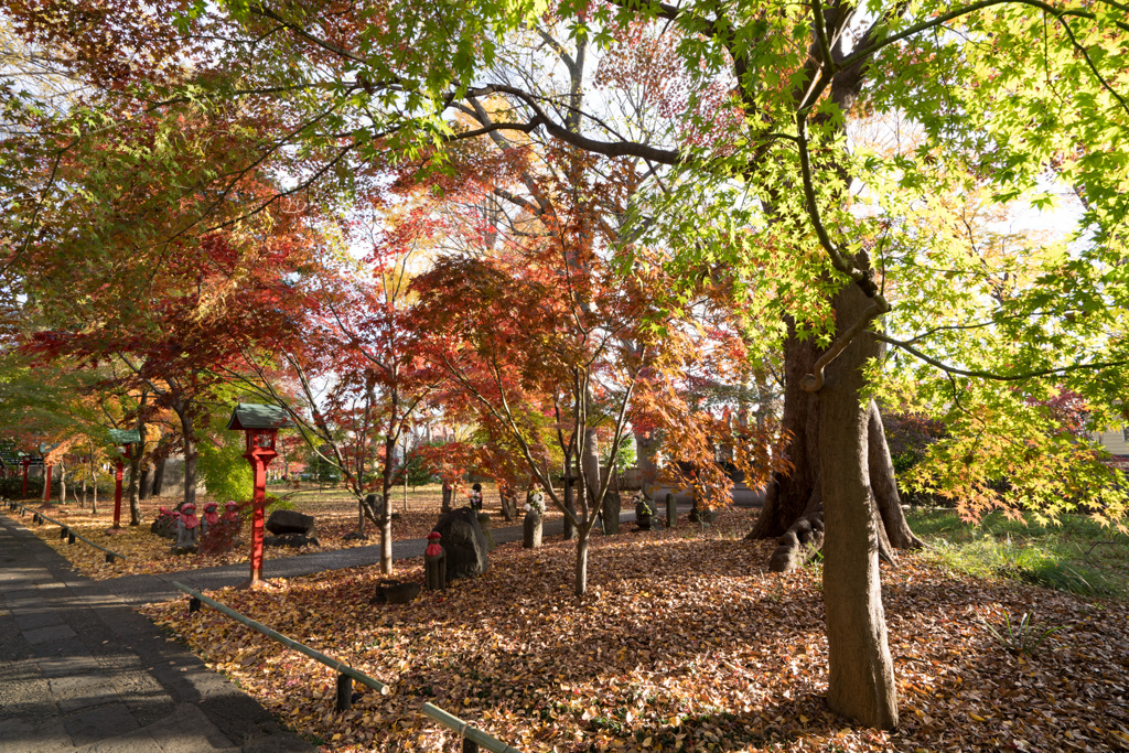 九品仏浄真寺【総門から仁王門付近の紅葉】①20221210