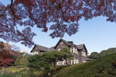 旧古河庭園【モミジと洋館】①20171126