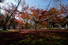 京都の紅葉【南禅寺：三門付近】①20201126