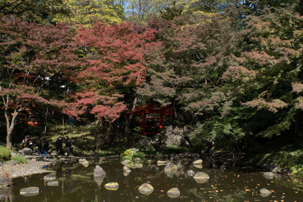 【小石川後楽園の紅葉】①20171112