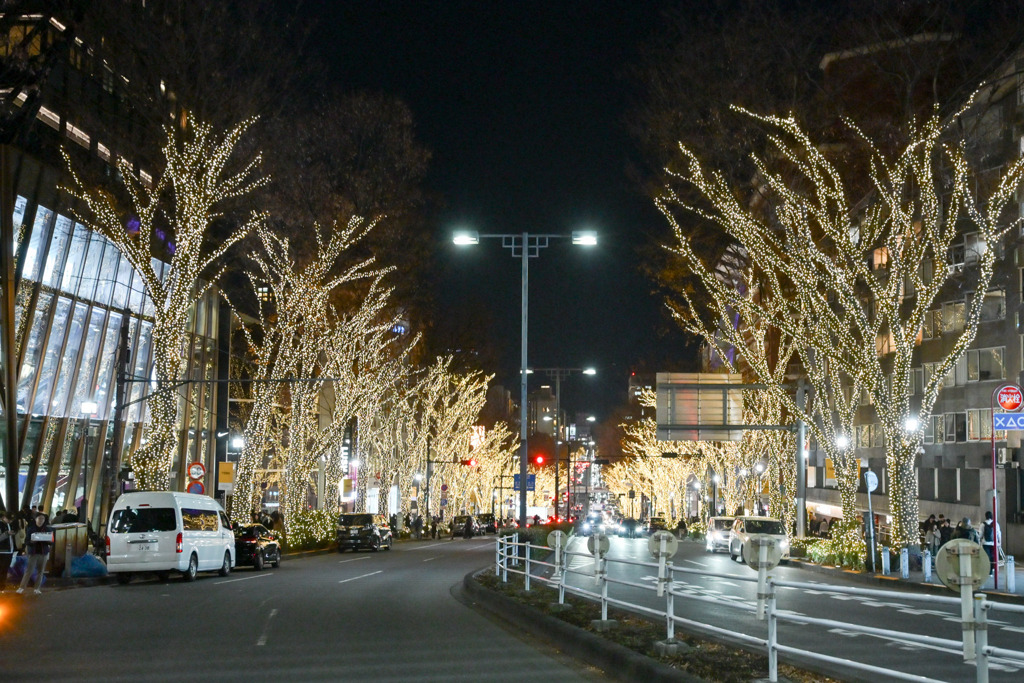 都内夜景巡り【表参道】20251216