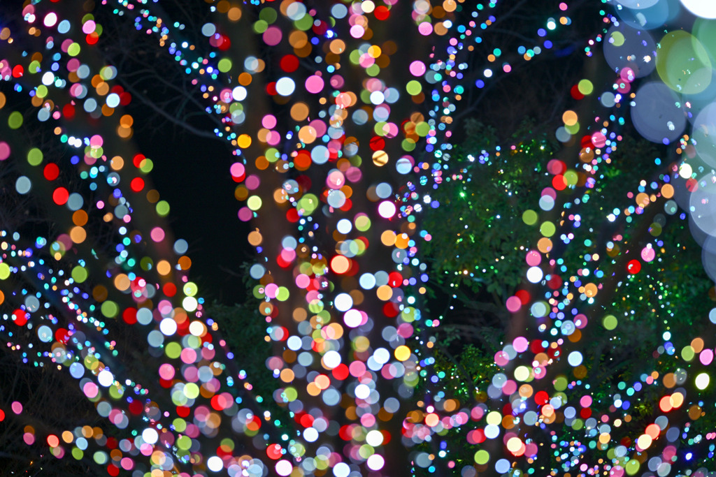 都内夜景巡り【六本木ヒルズ：イルミネーション】⑤20251216