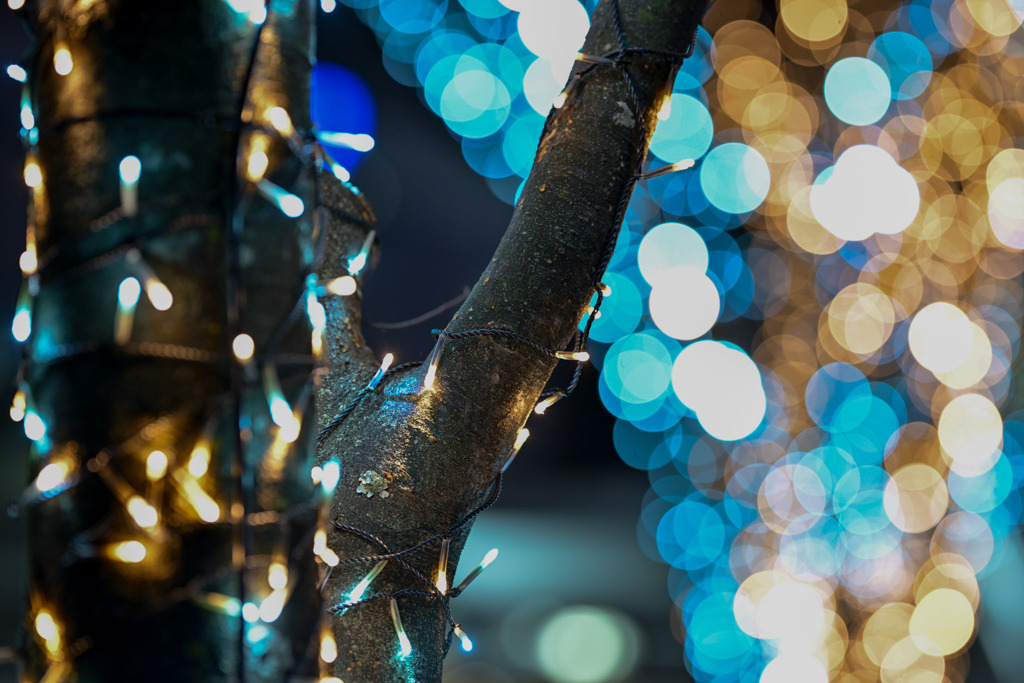 スキップ広場【NIKKOR_Z135mm_f1.8S】②20241217