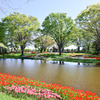 昭和記念公園【渓流広場の眺め(遠景)】①20250416
