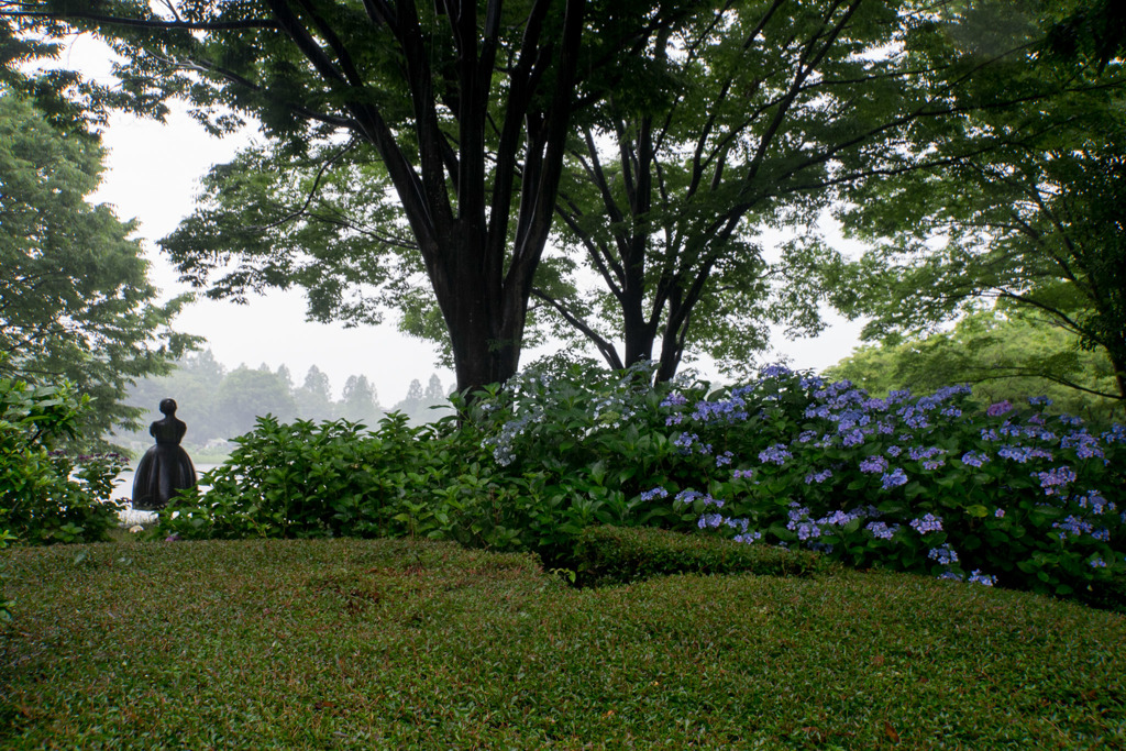 昭和記念公園【花木園あじさいロードの紫陽花】20170701