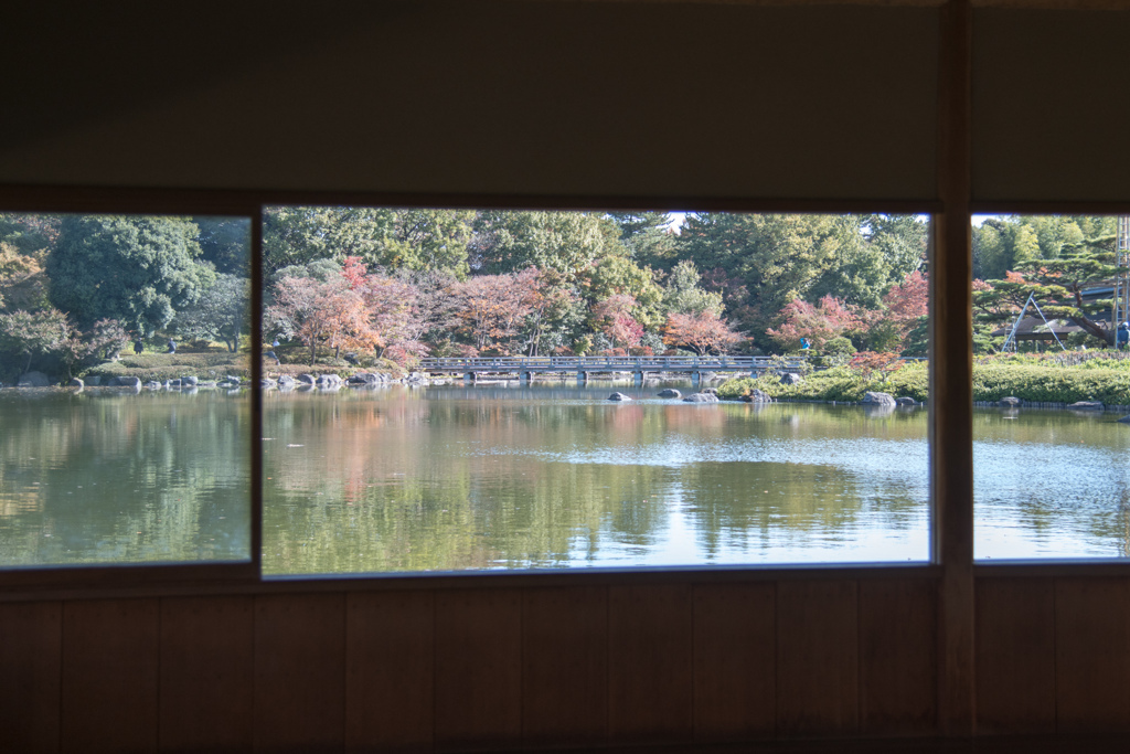 昭和記念公園【日本庭園：清池軒付近の紅葉】④20211106