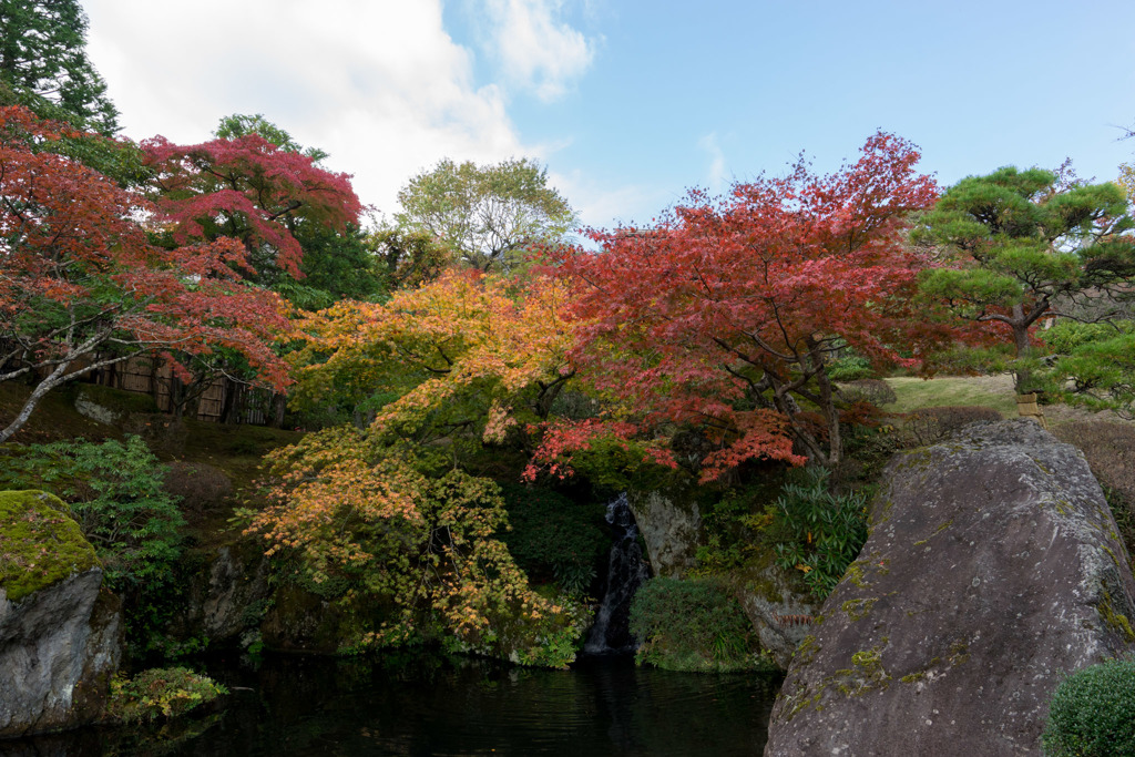 箱根美術館【庭園内の紅葉】②20181111