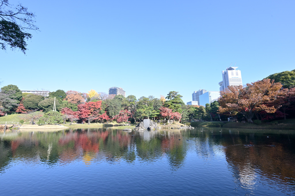 都内紅葉巡り【小石川後楽園：大泉水】20251128