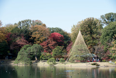 六義園【大泉水の紅葉】②20181201