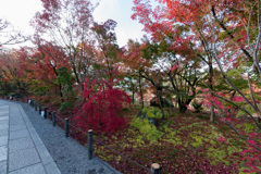 京都の紅葉【永観堂：唐門付近】③20201126