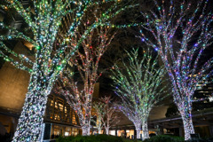 都内夜景巡り【六本木ヒルズ：イルミネーション】①20251216