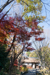 府中市郷土の森【旧三岡家長屋門と紅葉】20211204