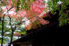 箱根美術館【富士見亭の紅葉】20181111