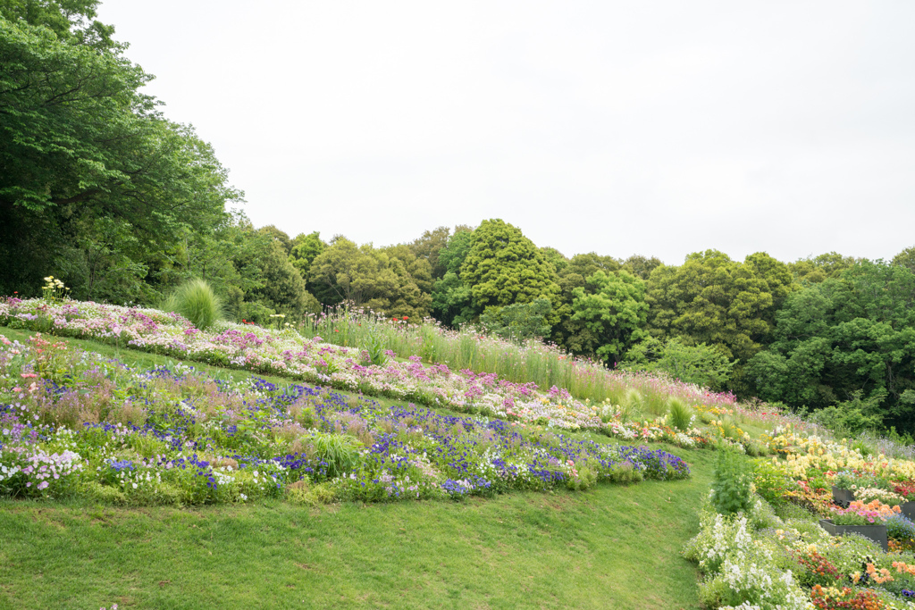 里山ガーデンフェスタ【大花壇の眺め】①20220429
