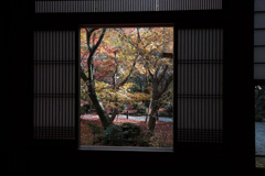 圓光寺【額縁庭園「十牛之庭」の紅葉】②20191203