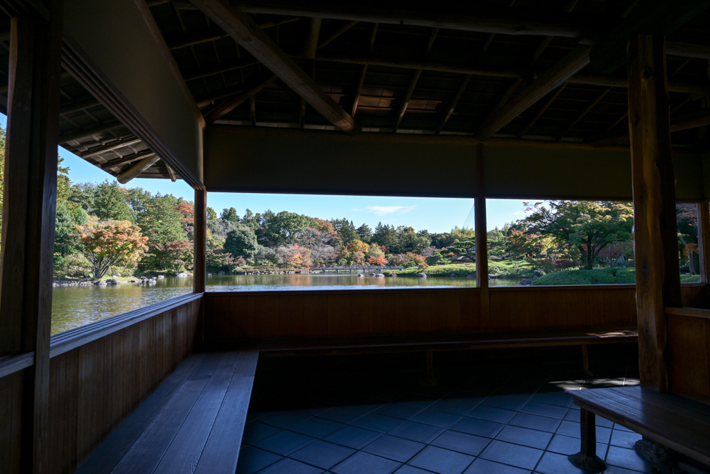 昭和記念公園【日本庭園：清池軒から見た池の景色】①20241119