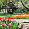昭和記念公園【渓流広場の眺め(近景)】20250416