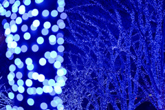 都内夜景巡り【青の洞窟：イルミネーション】④20251216