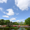 神代植物公園【つつじ園：遠景】①20240425