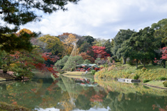 六義園【大泉水周辺の眺め】20241202