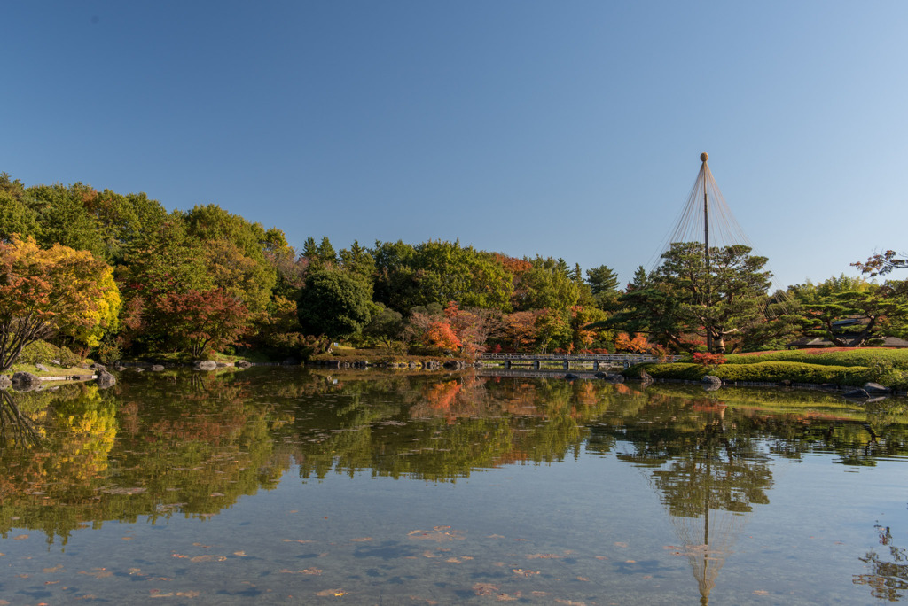 昭和記念公園【日本庭園：紅葉】④20191116