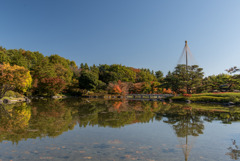 昭和記念公園【日本庭園：紅葉】④20191116