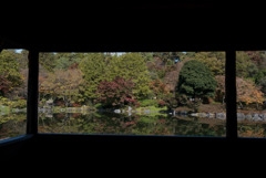 昭和記念公園【日本庭園：池と紅葉】③20181117