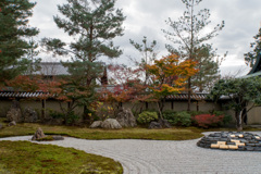 京都の紅葉【高台寺】①20201126