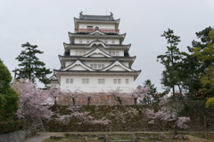 【福山城の桜】①20170410