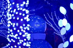 都内夜景巡り【青の洞窟：イルミネーション】⑤20251216