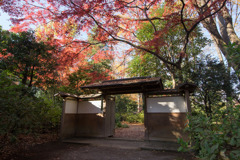 六義園【紅葉：宣春亭の門のところ】20171202