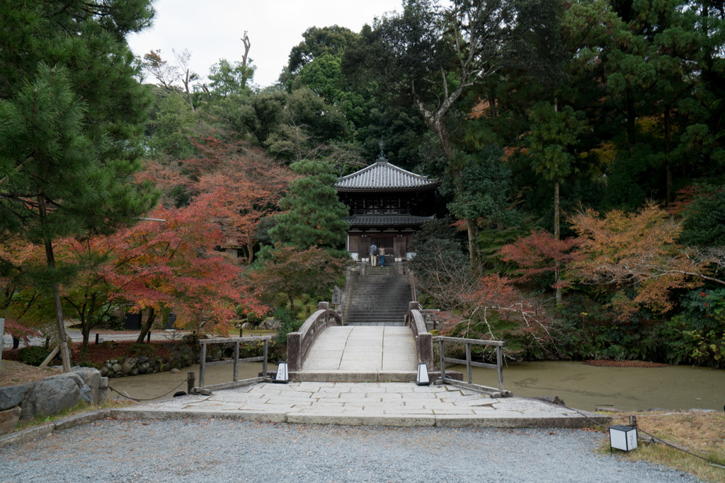 京都の紅葉【知恩院】⑤20201126