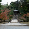 京都の紅葉【知恩院】⑤20201126