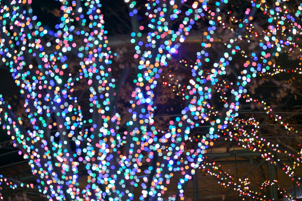 都内夜景巡り【六本木ヒルズ：イルミネーション】④20251216