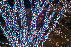 都内夜景巡り【六本木ヒルズ：イルミネーション】④20251216